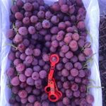 56f7d370695201dfaf4448648cf0bbd