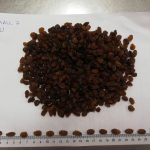 WhatsApp Image 2022-05-09 at 09.59.04