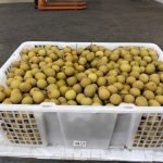 WhatsApp Image 2025-02-25 at 11.01.28_8bdd1dad