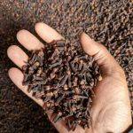 b3805c5b-3413-4472-bb11-cebad7646ce4